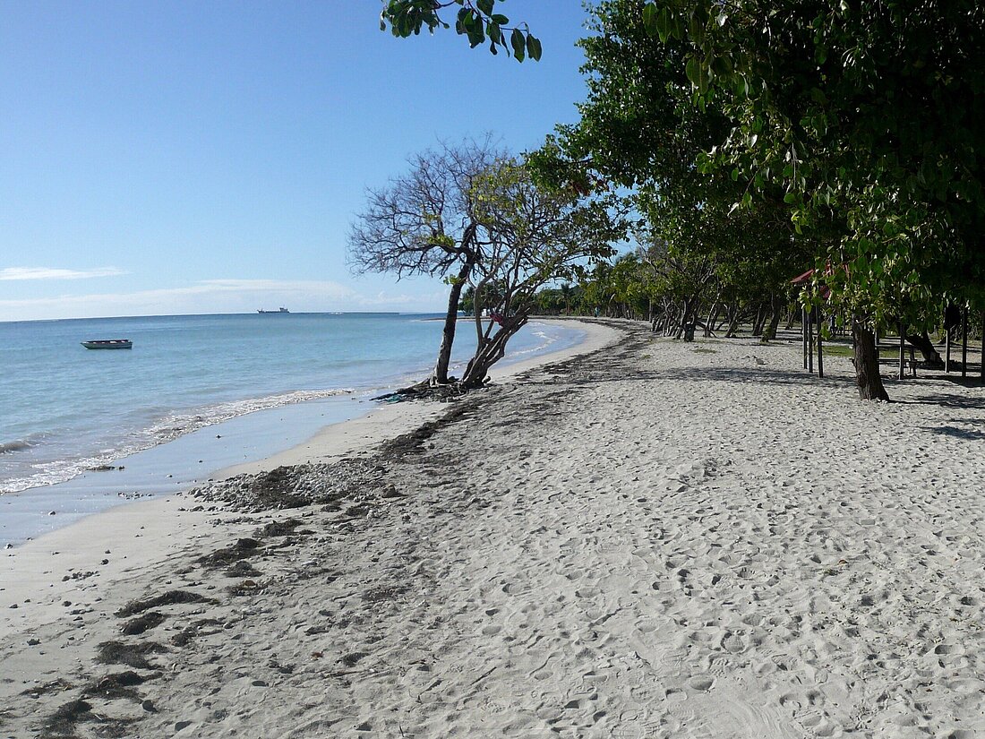 Langer weißer Sandstrand mit Bäumen und blauem Wasser