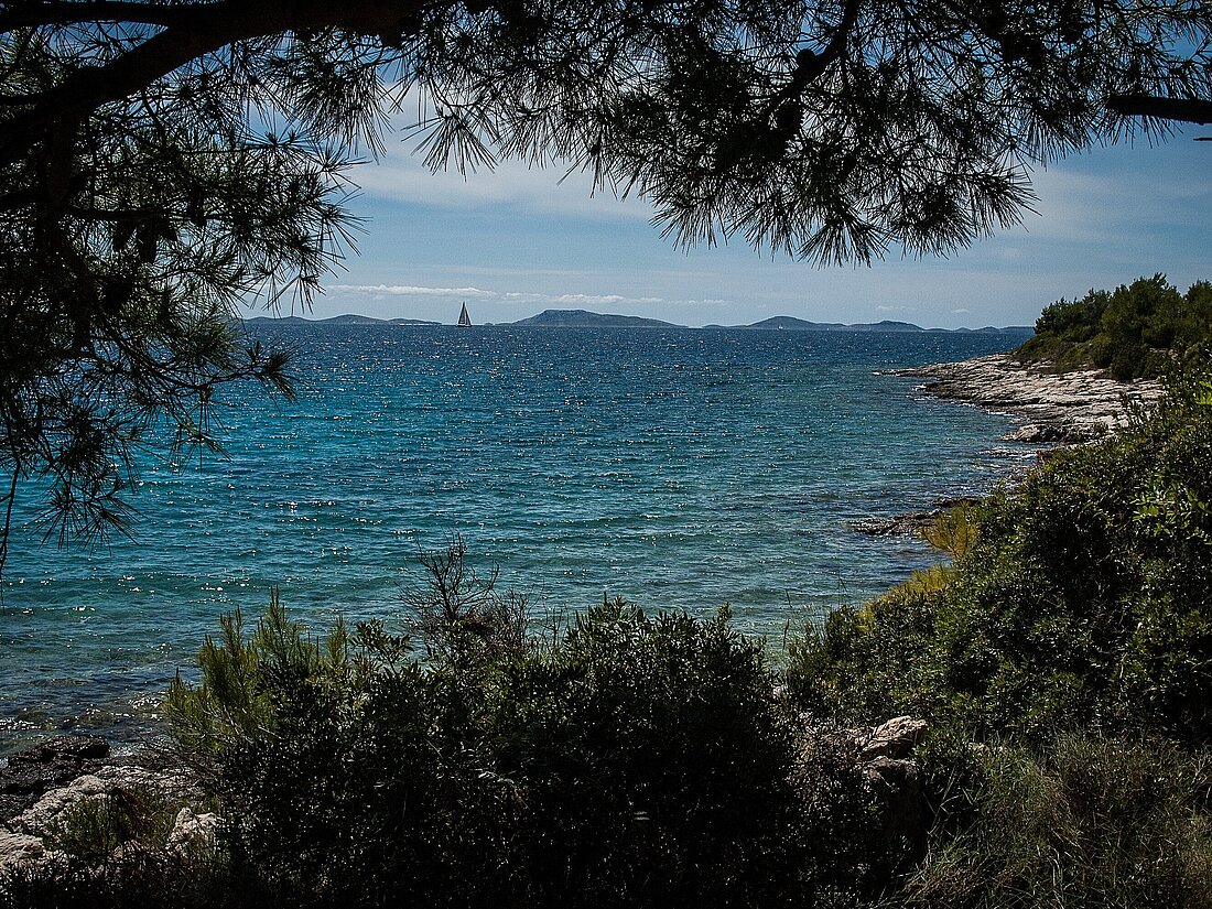 Blick aus dem Wald auf das blaue Meer und die FelsenkĂĽste