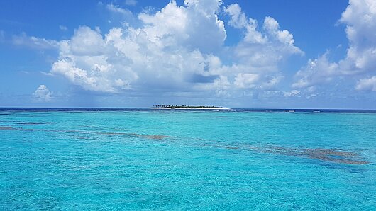 Tobago Cays mit türkis-blauem Wasser, einer kleinen Palmen bewachsenen Insel unter blauem Himmel