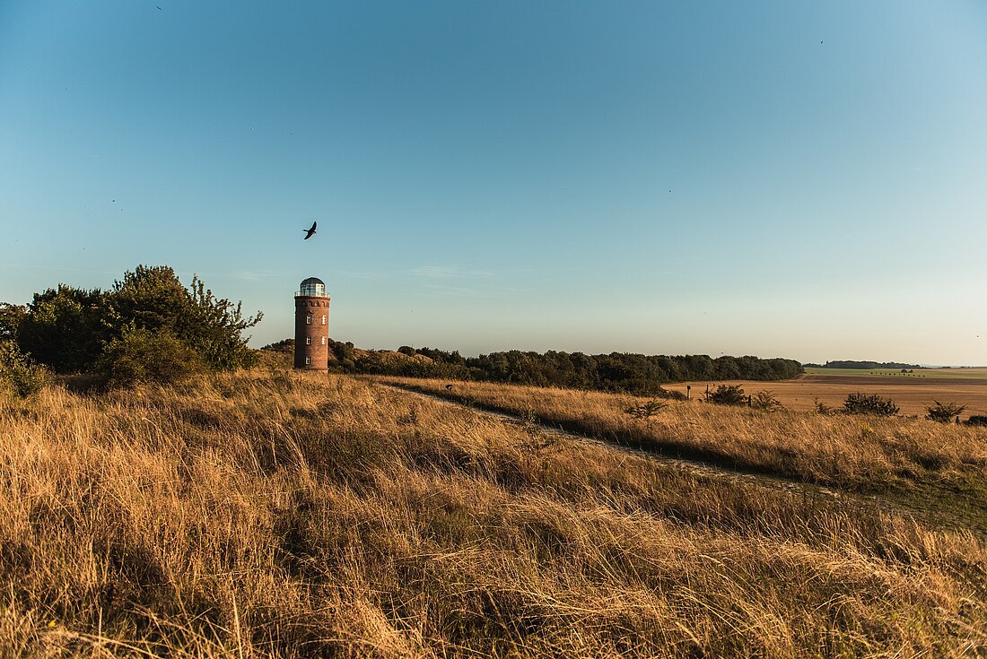 Blick von einem Feld auf die Ostsee und einen Leuchtturm bei schönem Wetter
