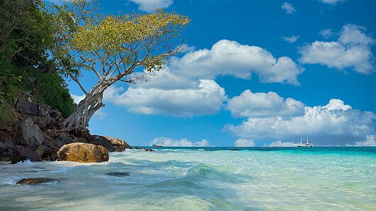 Strand mit Felsen, Baum und türksiblauem Wasser