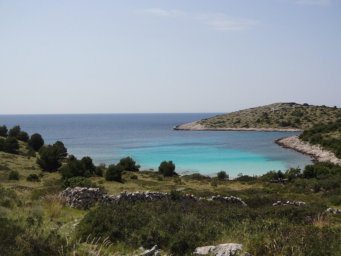 Bewaldete Insel mit blauem Meer im Hintergrund
