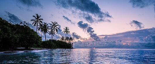 Küste von Martinique in romantischem Abendlicht, klares Wasser und Palmen Küste von Martinique in romantischem Abendlicht, klares Wasser und Palmen