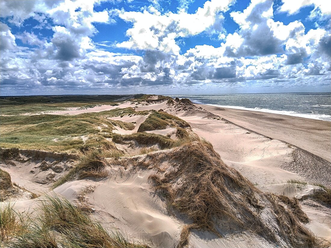 Blick über die Dünen auf das Segelrevier Ijsselmeer