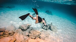 Schlorcheln, tauchen, Entdecken im Meer