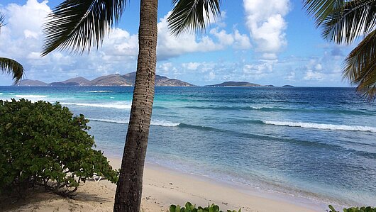 Palmen Meer und Strand auf Tortola