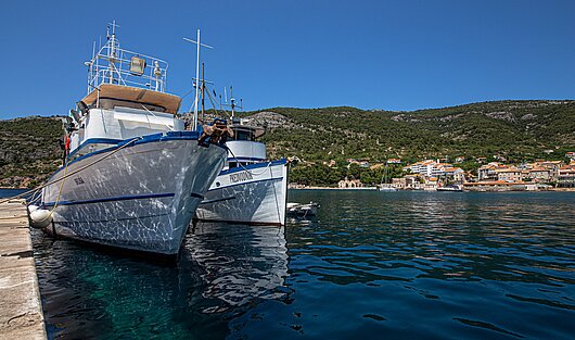 kleiner Anlegehafen für Yachten mit Steg vor traumhafter Naturkulisse und klarem Wasser bei Vis