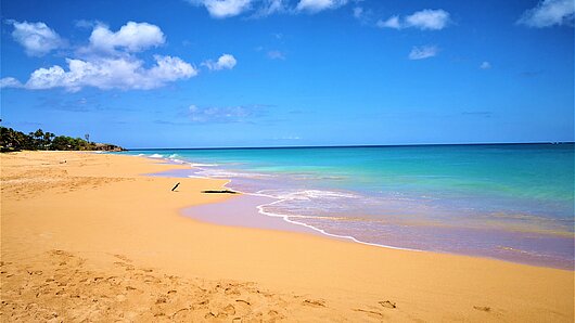 Deshaies, Guadeloupe Sandstrand am Blauen Meer in Deshaies
