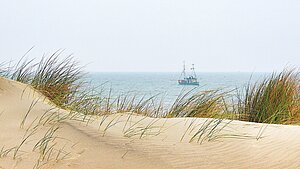 Blick von der Düne auf Segelboot im Ijseelmeer