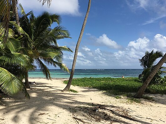 Strand von Sainte Anne im Segelrevier Martinique