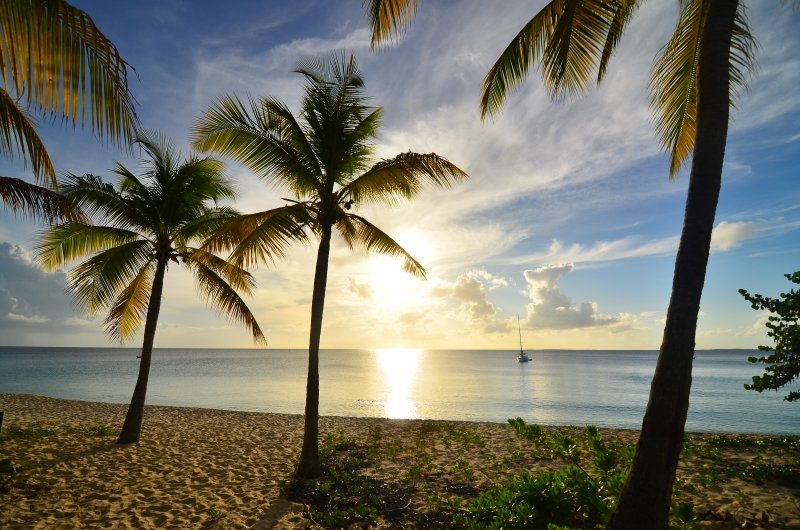 Unberührter Sandstrand auf Tortola mit Palmen und Blick auf das Meer und eine Segelyacht bei Abendsonne Unberührter Sandstrand auf Tortola mit Palmen und Blick auf das Meer und eine Segelyacht bei Abendsonne